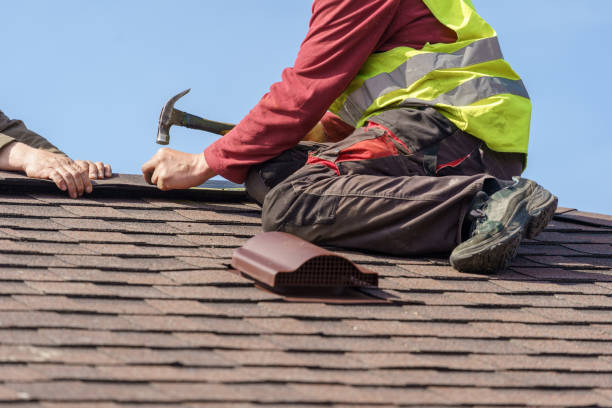 Best Roof Gutter Cleaning  in Sparta, MI